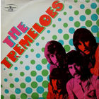 The Tremeloes – Here Come The Tremeloes, LP 1971