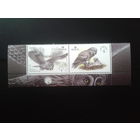 2005 Неясыть с купоном**