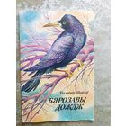 У.Шайдау"Бярозавы дождж"\013