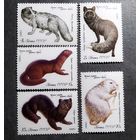 Марки СССР 1980 год Пушные звери