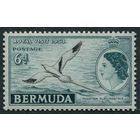 Бермуды 1953 ** Птица, Королевский визит