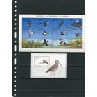 Беларусь 1996. Фауна. Водно-болотные птицы