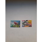 Марки Беларусь 2006 Орхидеи