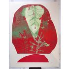 Авторская графика Анастасия Дунец 2001