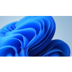 Чехословакия 1991 3108  День марки ** (К1 28\\БРАК