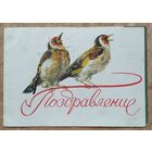 Поздравительная телеграмма. 1959 г. Подписана.