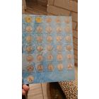 Лист Разделитель , для юбилейных монет РФ, формат Оптима