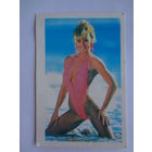 Календарик 1996 г. В розовом.