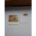 Почтовая карточка РФ 1994 Есенин поэт