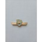 Знак нагрудный ввс