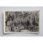 С новым годом 1961