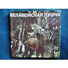 Белавежская пушча // Беловежская пуща