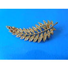 Старая Брошь.