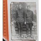 Фото в коллекцию