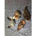 Сборный  лот  ЛФЗ