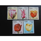 Куба 1982 г. Цветы. Тюльпаны.