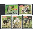 КНДР 1989. Фауна. Собаки, кошки 5 марок+блок (2991)