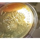 2 злотых 2012 год,  БРАК  " Чемпионат Европы по футболу 2012 "