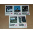 Календарики 1986 Фауна. Охраняемые животные. Красная Книга Узбекской ССР. 5 шт. одним лотом