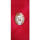 Знак Автомобильное  Военное училище торги