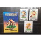 Корея. 1987 год. Флора. Грибы (980)