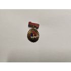 Румынское общество дружбы с Советским Союзом. Румыния 1950 годы.