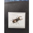 Австрия  жук  самокл.