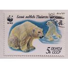 СССР 1987, Белый медведь.