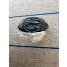 Кольцо старинное с узором на щитке