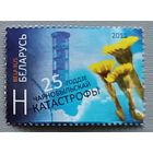 25 лет Чернобыльской катастрофе. Беларусь, 2011