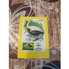 Календарик,марки,1991