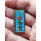 Интересный значок,тяжёлый мушкетёры Заполярья, Норильск,с рубля