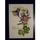 Поздравляю!  Водосбор. 1974 г.  подписанная.