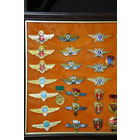 Лот степеней и различных др.знаков.Цена за весь ЛОТ!