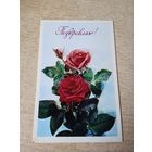 Поздравляю! худ Дергилев