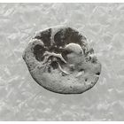 Иван IV Грозный 1533-1584 гг. Полушка. Москва. Государь. Птичка. /8