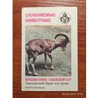 Календарик Тяньшанский баран 1987 Моисеев