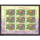 ФФ3 Беларусь 2015 Новый год