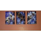 Хоккейные карточки ХК Гомель: Андрей Шевелев 79; Сергей Костицын 24 Sergei Kostitsyn; Вячеслав Шипило 17.