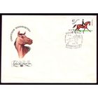 1982 год КПД Коневодство