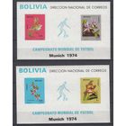 Флора. Цветы. Спорт. Футбол. Боливия. 1974. 2 блока. Michel N бл38-39 (120,0 е).