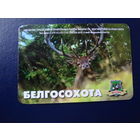 Календарик 2007 г.  Белгосохота Олень.