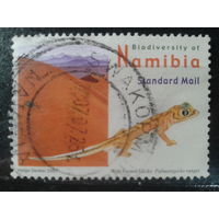 Намибия, 2007. Намибийский геккон