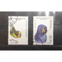 Мадагаскар. 1992 год. Фауна. Птицы. Попугаи (394)