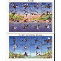 Беларусь 1996  Водно-болотные птицы