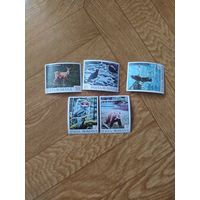 Румыния марки 1992 г. Фауна.