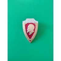 Значок юный  дзержинец