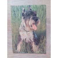 Календарик 1993