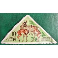 СССР 1973. Воронежский заповедник. Олени