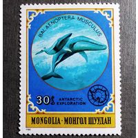 Марка Монголия 1980 Антарктические исследования